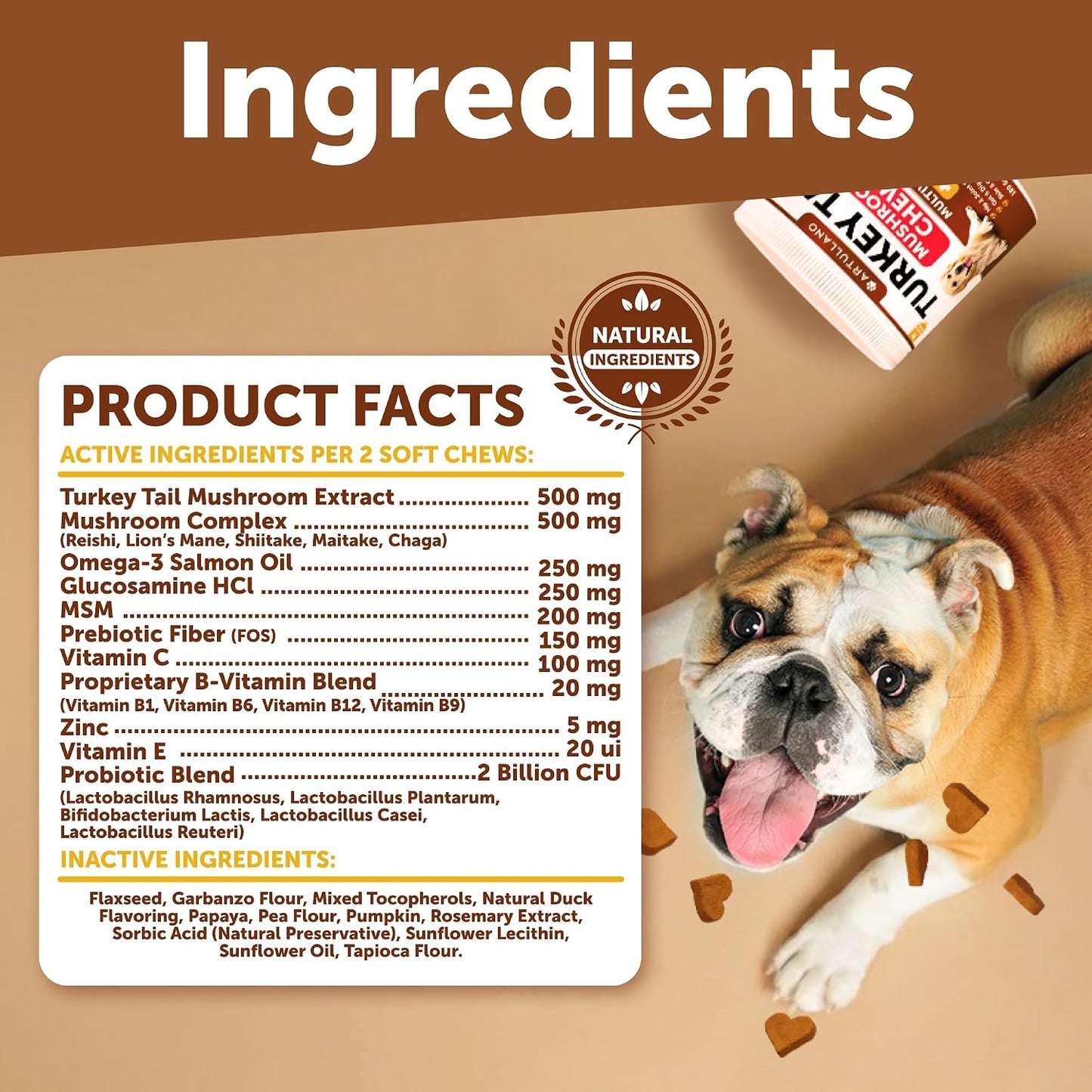 Turkey Tail for Dogs, Mushroom Supplement for Canine - 180 Soft Chews - All Dog Breeds and Ages - Multivitamins