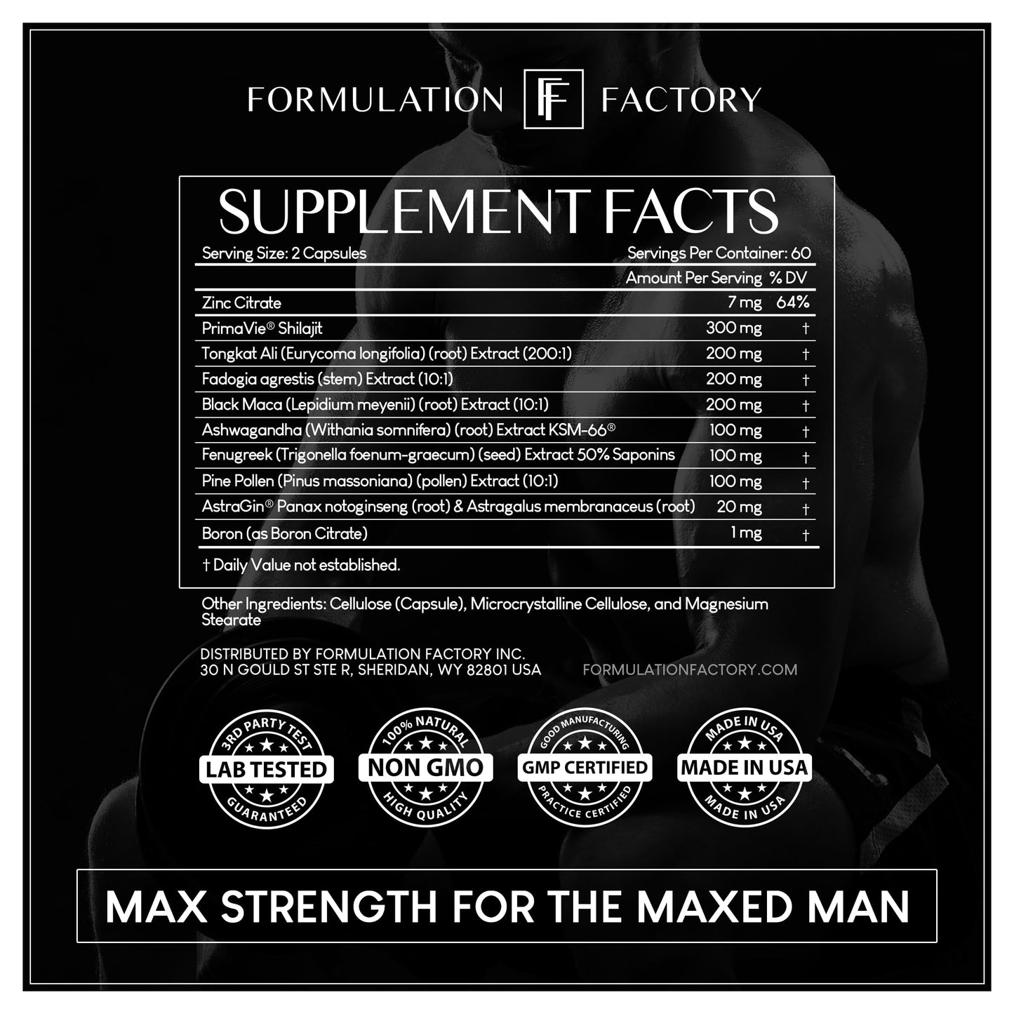 Formulation Factory Self Obsessed 10-in-1 Natural Testosterone Booster for Men, Testosterone Supplement for Men with Shilajit, Tongkat Ali, Fadogia Agrestis, 120 Capsules, 2 Month Supply