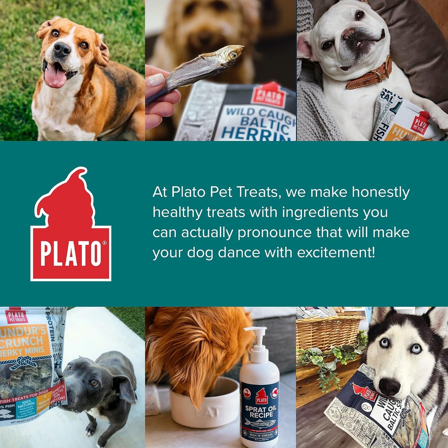 Plato Pet Treats Fish Dog Treats - Air-Dried, Single Ingredient Pet Treat - Omega 3 & 6 Fatty Acids to Support Skin and Coat - 100% Whole Fish - Wild Caught Baltic Herring - 3oz - 2 Pack