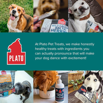Plato Pet Treats Fish Dog Treats - Air-Dried, Single Ingredient Pet Treat - Omega 3 & 6 Fatty Acids to Support Skin and Coat - 100% Whole Fish - Wild Caught Baltic Herring - 3oz - 2 Pack
