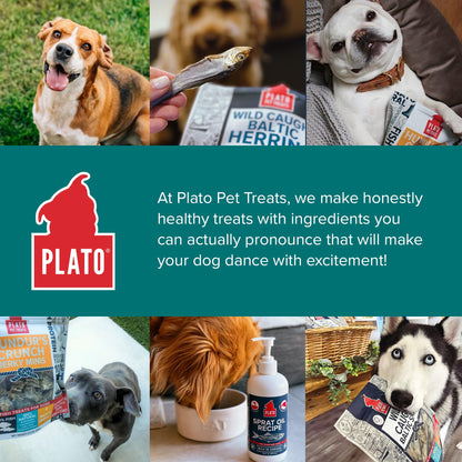 Plato Single Ingredient Wild-Caught Baltic Herring Dog Treats, Air-Dried Whole Fish, Omega-Rich Skin & Coat Support, 8.5 oz