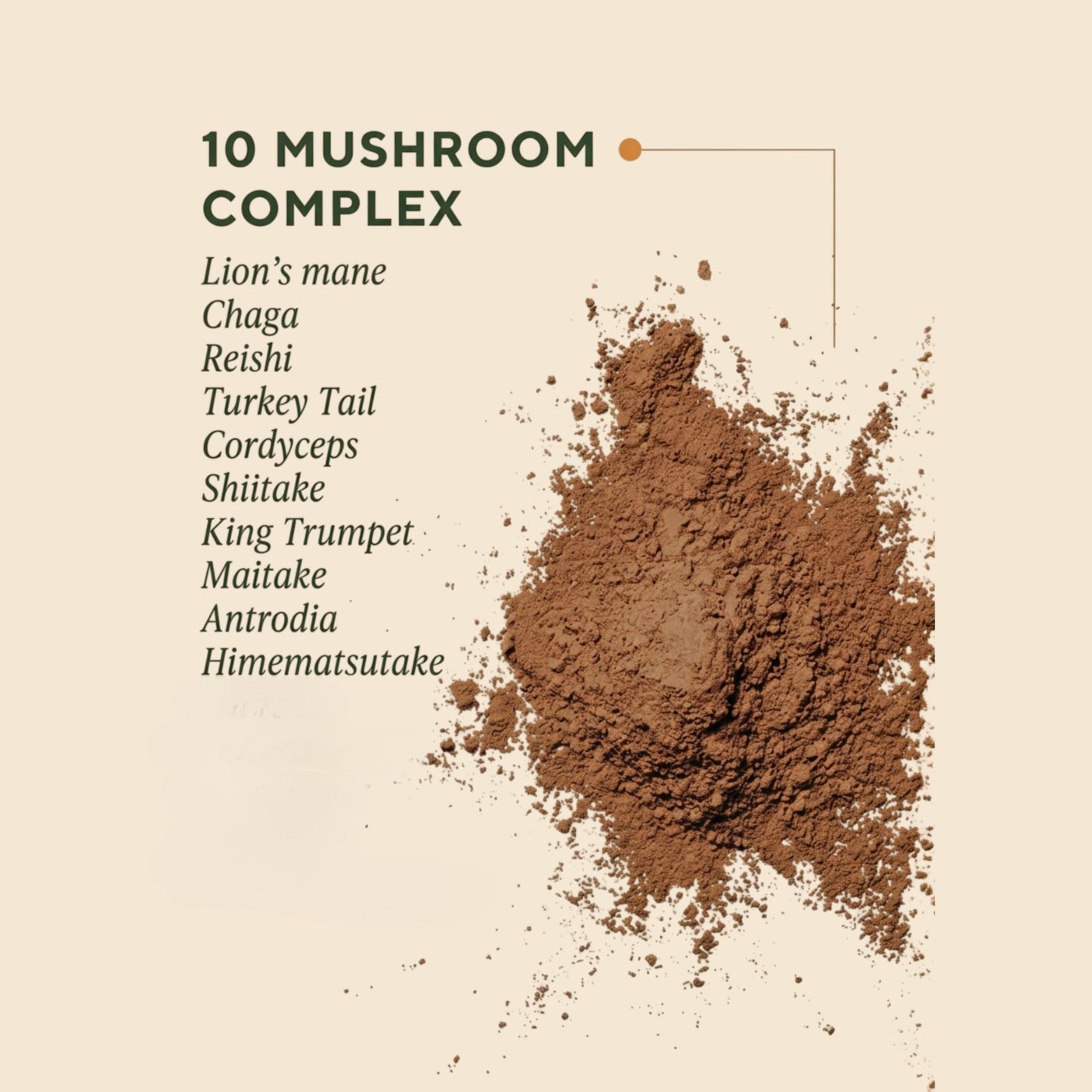 OM MUSHROOM SUPERFOOD Master Blend Vegan Protein – Organic Vanilla Plant Protein Powder, GLP-1 Friendly, Excellent Source of Protein, Good Source of Fiber, 10 Functional Mushrooms – 16 Servings