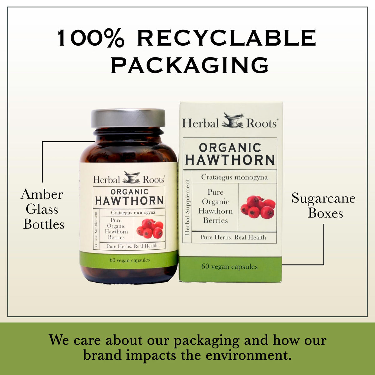 Herbal Roots Organic Hawthorn Berry Capsules | Extra Strength 1,200mg per Serving