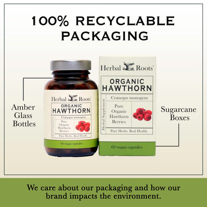 Herbal Roots Organic Hawthorn Berry Capsules | Extra Strength 1,200mg per Serving