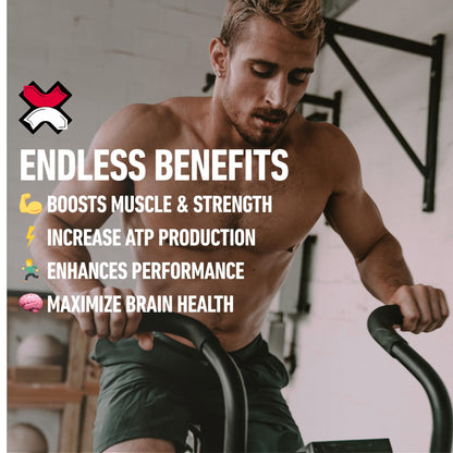 Xwerks Build Creatine Gummies for Men and Women, 120 Count, 100% Pure Creatine Monohydrate, Watermelon Flavored Muscle Building Gummies 4g Per Serving, Pre Workout Anti Melting, 5000mg Total Creatine