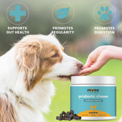 MYOS Probiotic & Muscle + Mobility Bundle for Dogs – Digestive Support & Gut Health with Collagen & Glucosamine Joint Supplement – Complete Daily Wellness Chews (60 Ct Each)