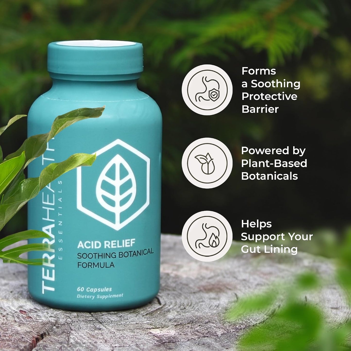Terra Health Essentials Acid Relief - Daily Digestive Support Supplement for Gut Health & Balanced Digestion - Lemon Balm, Slippery Elm, Aloe Vera, DGL Licorice - Plant-Based & Non-GMO - 60 Capsules