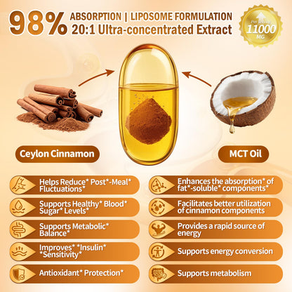 2-in-1 Organic Ceylon Cinnamon with MCT Oil Supplements Softgels, 120 Day Supply, Authentic Sri Lankan Source, Liposome Highly Bioavailable Extract, Energy & Metabolism Support, Large Granule Softgels