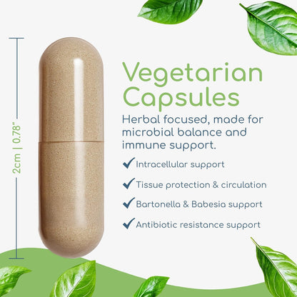 Cryptolepis Concentrate, Immune Support with Cryptolepis Sanguinolenta for Immunity Boost, Concentrated Herbal Supplements, Antioxidant & Health Supplement, 120 Capsules