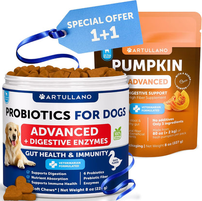Pumpkin Powder for Dogs + Probiotic Chews Bundle - Fiber Supplement for Digestion, Gut Balance & Firm Stool - Gut Health, Immunity, Yeast Balance, Reduces Diarrhea & Gas, Enzymes & Prebiotics