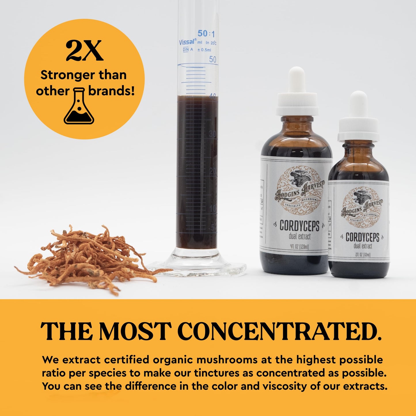 Hodgins Harvest Organic Lion's Mane Fruiting Body Extract Tincture - Mushroom Supplement for Brain Health and Mental Focus - Dual Extract Formula - Extra Concentrated - 4 fl oz Bottle