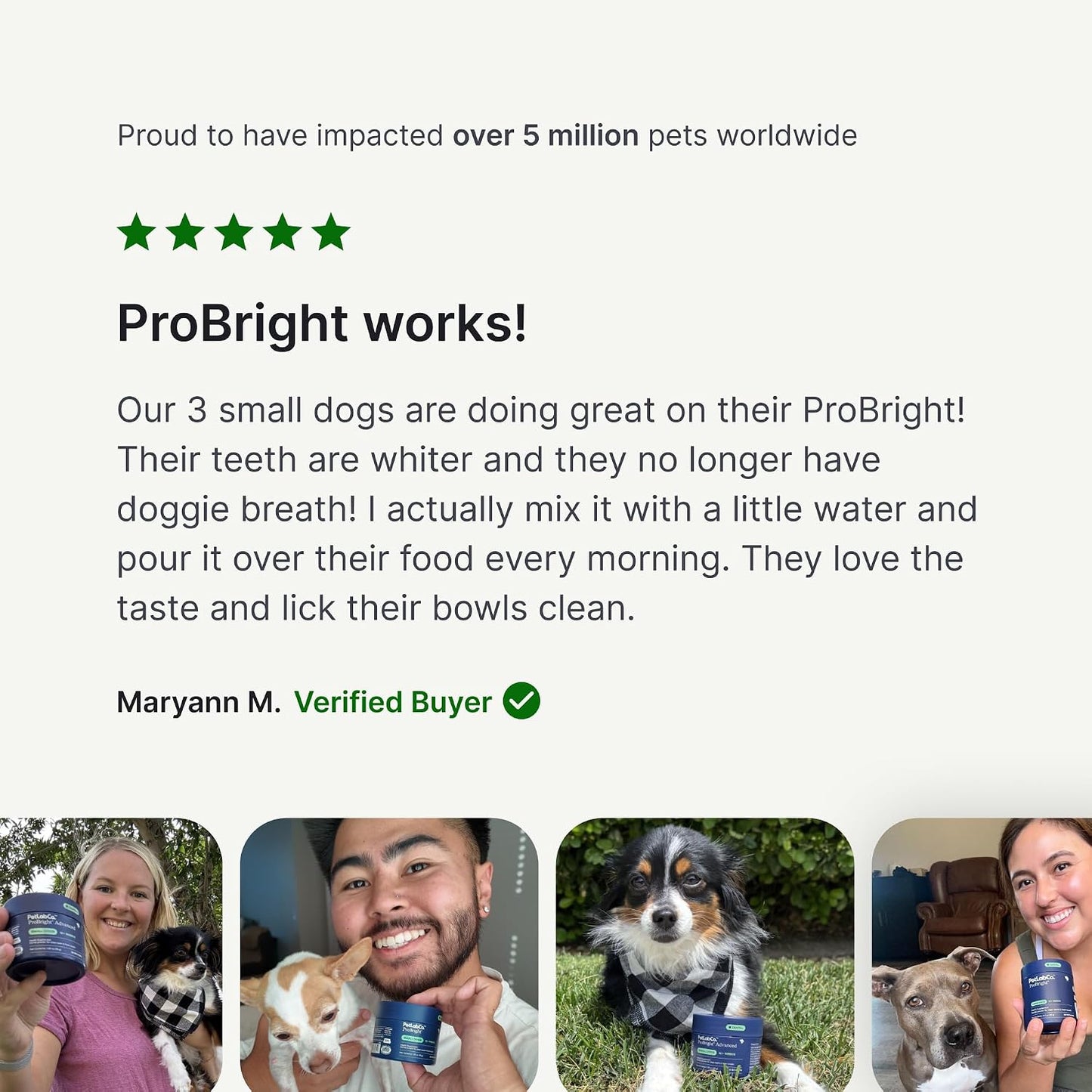 PetLab Co. ProBright Dental Powder, Extra Small Dogs, 2-Pack | Brown algae, green tea and probiotics in one easy daily scoop to support tartar and fresh breath