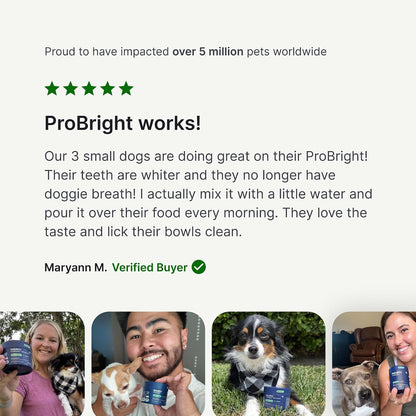 PetLab Co. ProBright Dental Powder, Extra Small Dogs, 2-Pack | Brown algae, green tea and probiotics in one easy daily scoop to support tartar and fresh breath