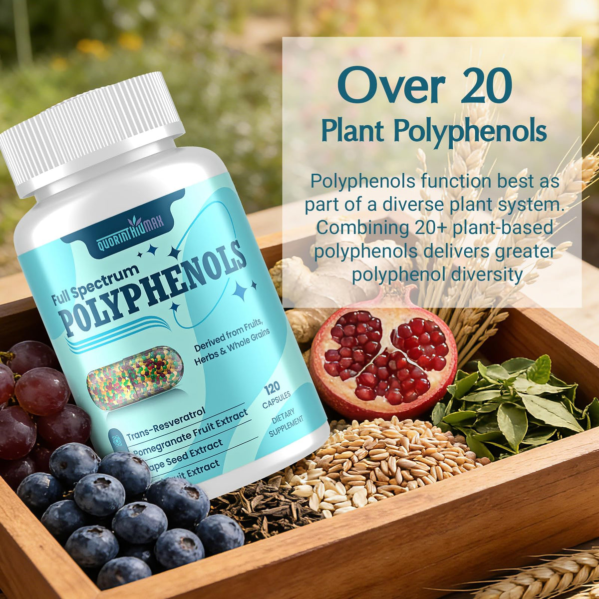 (120 Count) Polyphenols Supplement 1500mg – Over 20 Fruit, Herbal & Cereal Full Spectrum Polyphenol Complex with Resveratrol, Grape Seed & Green Tea – Tri-Color MicroBeadlets – Powerful Antioxidant