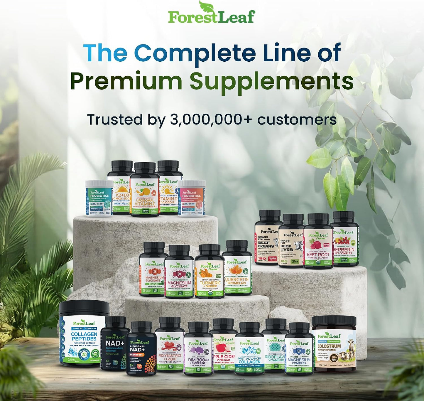 ForestLeaf Hyaluronic Acid Supplements | 100mg High Bioavailable Dietary Hyaluronic Acid Powder Capsules + 50mg VIT C | Supports Skin Hydration, Joint Lubrication, Anti-Aging, Hair & Nails | 120 Caps