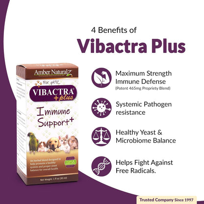 Amber NaturalZ Vibactra Plus for Pets, Immune Health & Yeast Balance, 1 OZ | Supports overall immune health, stomach & respiratory health, helps pets maintain normal yeast balance & a healthy microbiome