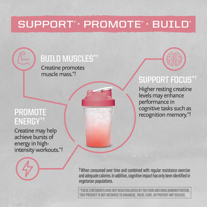 Creatine Monohydrate Powder Micronized PreWorkout Recovery Supplement | Support