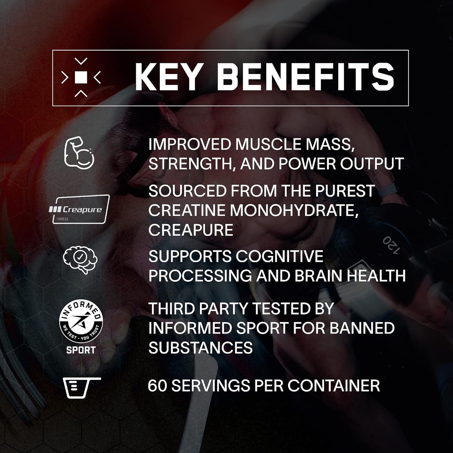 BARE PERFORMANCE NUTRITION BPN Whey Cinnamon Roll Protein + Creatine Bundle