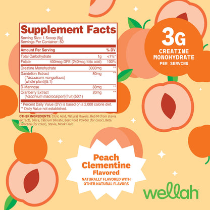 Wellah Creatine for Women - Creatine Monohydrate with Dandelion & Cranberry Extract (50 Servings, Strawberry Lemonade) | Creatine Monohydrate with Dandelion & Cranberry Extract