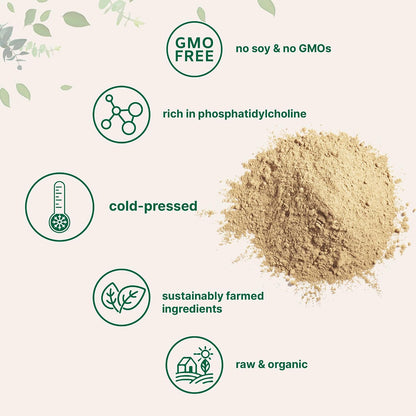 Organic Sunflower Lecithin Powder, 1 Pound, Sustainable Farmed, Cold Pressed, Rich in Phosphatidyl Choline and Protein, Making Liposomal Vitamin C, Lactation Supplement, Non-GMO
