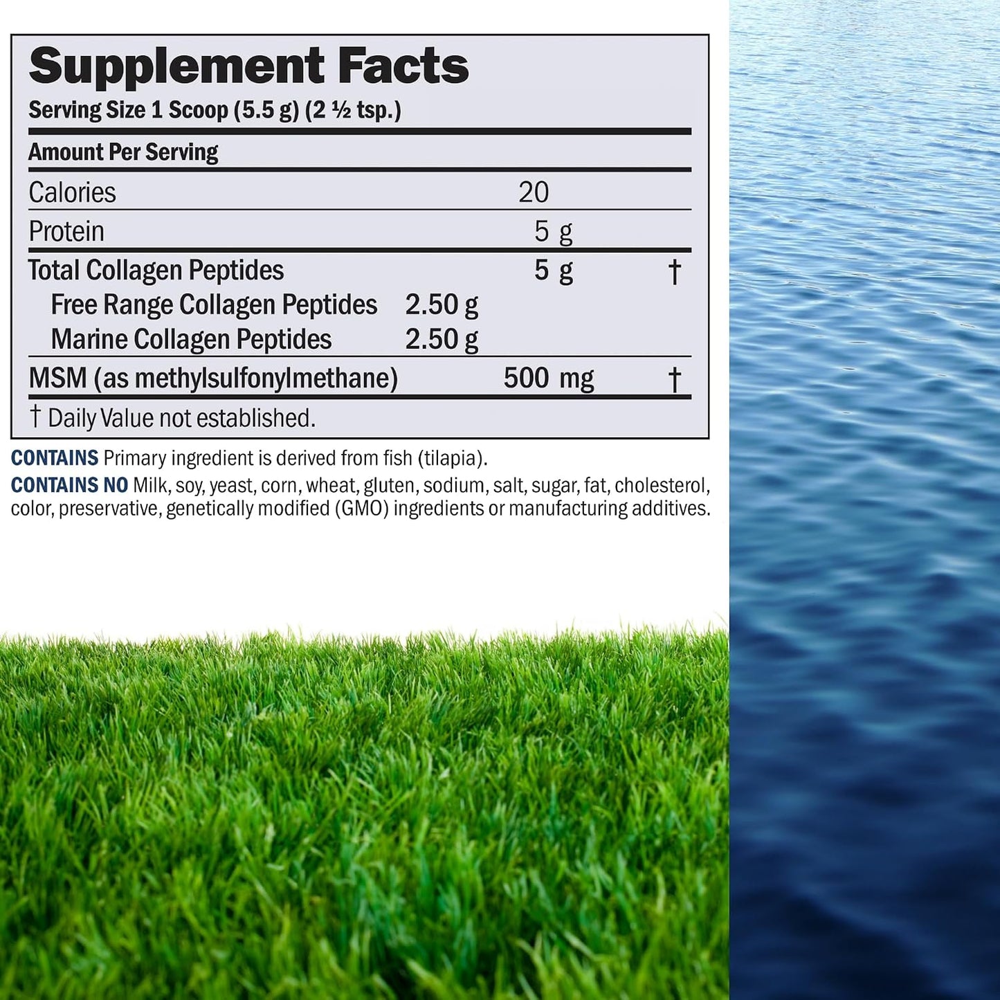 ANDREW LESSMAN ProCaps Marine Collagen Peptides with MSM Powder 60 Servings