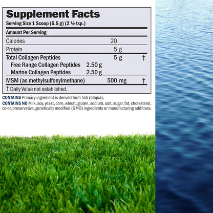 ANDREW LESSMAN ProCaps Marine Collagen Peptides with MSM Powder 60 Servings