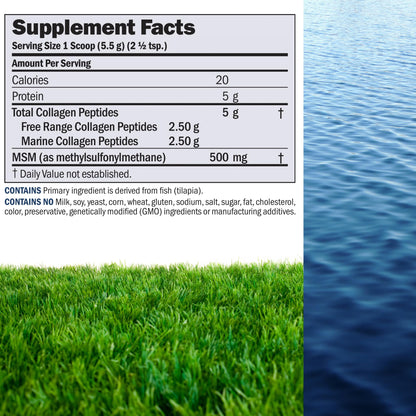 ANDREW LESSMAN ProCaps Marine Collagen Peptides with MSM Powder 60 Servings