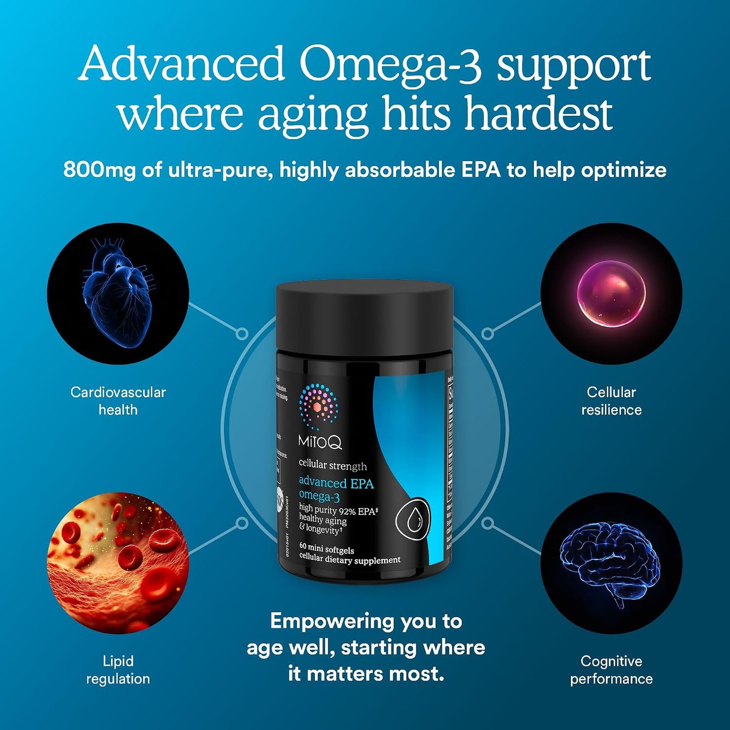 MitoQ Advanced EPA Omega-3 – High-Purity 800mg EPA Fish Oil Supplement | with Vitamin K2, D3, E | Cardiovascular, Brain, Cellular Support | No Fishy Aftertaste | 60 Softgels