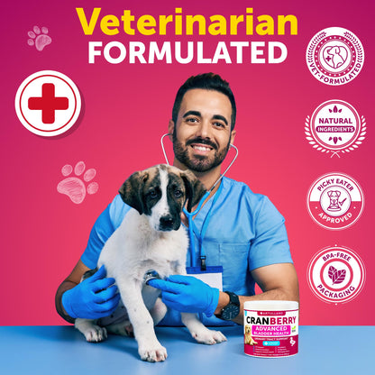 Dog UT Treats - Cranberry Chews for Dogs - Urinary Tract & Bladder Support Supplement with Natural Cranberry Extract - Tasty 120 Soft Bites for Daily Wellness with Fish Oil, Pumpkin, D-Mannose