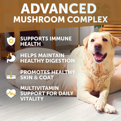 Dog Multivitamin Chewable with Glucosamine 26 in 1 - Dog Vitamins and Supplements - Senior & Puppy Multivitamin for Dogs - Pet Joint Support Health - Immunity, Mobility, Gut Skin - 120 Chews