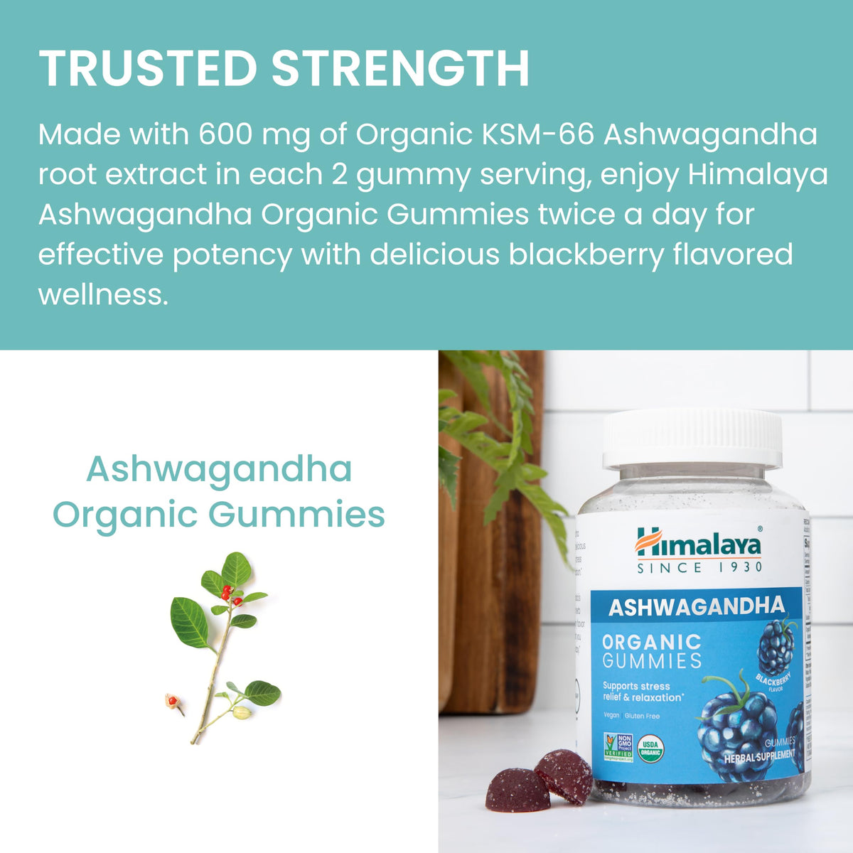 Himalaya USDA Organic Ashwagandha Root, 670 mg, 60 Day Supply, 60 Caplets