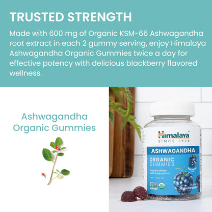 Himalaya USDA Organic Ashwagandha Root, 670 mg, 60 Day Supply, 60 Caplets