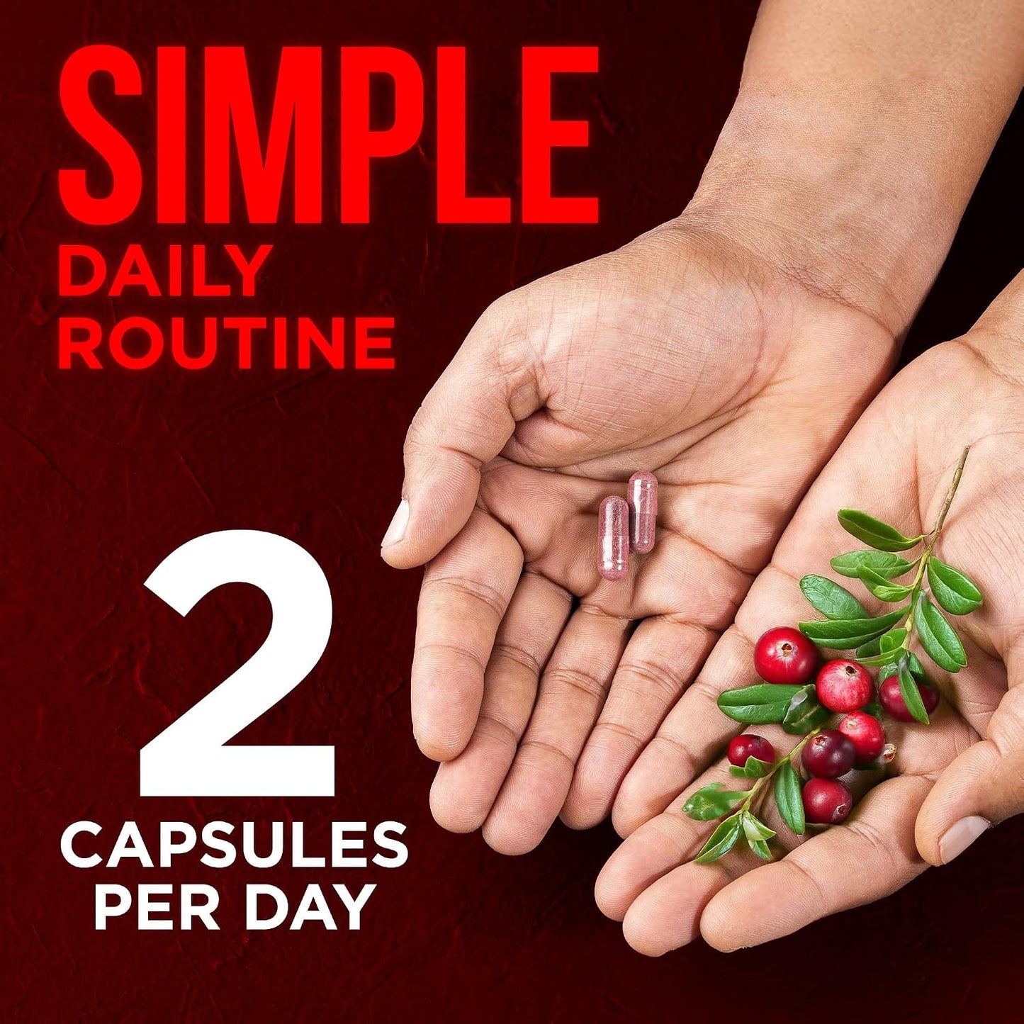 OmniBiotics USDA Organic Cranberry Pills for Women - High Potency 25,000 mg Supplement with 25:1 Fruit Extract - Daily Urinary Tract Support - 120 Vegan Capsules