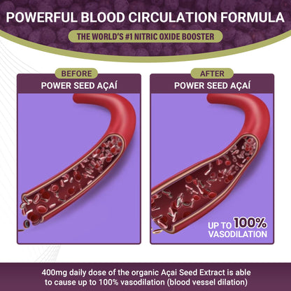 POWER SEEDAÇAÍ New Patented Nitric Oxide Supplement -Increase Blood Flow & Circulatio