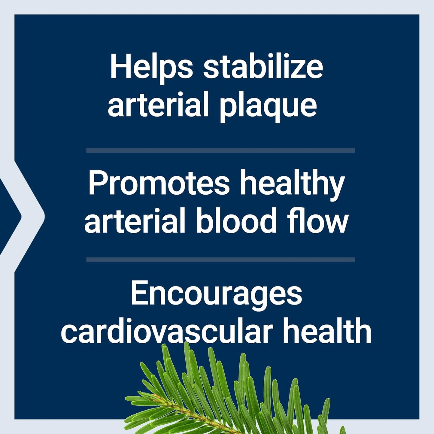 Life Extension Arterial Protect - Blood Pressure Supplement for Heart Health - with gotu kola and Pycnogenol Dried French Maritime Pine bark extracts - Gluten-Free, Non-GMO, Vegetarian - 30 Capsules | Cardiovascular Health Supplement for Circulatory, Endo