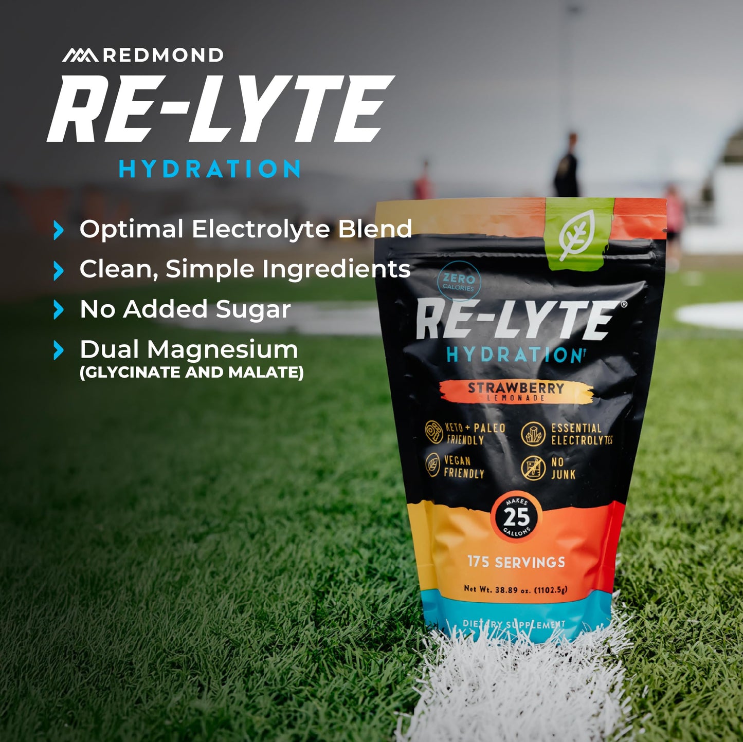 Re-Lyte Hydration Electrolyte Powder Bulk Pouch 175 Servings/Watermelon Lime