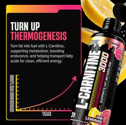 Nutrex Research L Carnitine 3000 - Clinically Dosed L-Carnitine Liquid for Energy, Metabolism & Muscle Recovery - Delicious Strawberry Watermelon - No Sugar, No Carbs, No Stimulants - 31 Servings