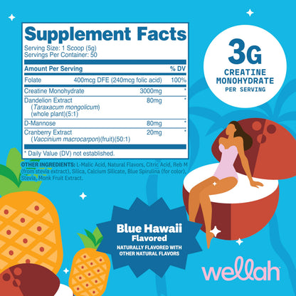 Wellah Creatine for Women - Creatine Monohydrate with Dandelion & Cranberry Extract (50 Servings, Strawberry Lemonade) | Creatine Monohydrate with Dandelion & Cranberry Extract