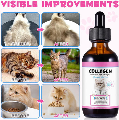 Liquid Collagen for Cats, Cats Collagen Liquid Drops with Biotin, MSM & Ginger Immunity Support, Itch Relief, Skin & Coat and Joint Health Supplement for Cat 60ml