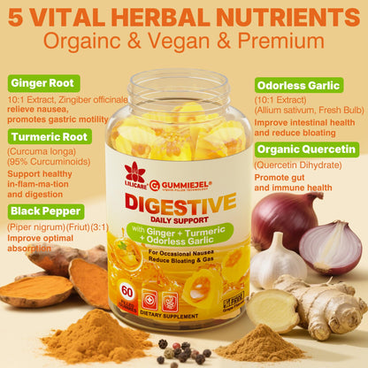 LILICARE Ginger Chews Gummies for Nausea & Digestive Support, Stomach Relief - Sugar Free with Turmeric & Odorless Garlic, Quercetin, Vitamin D3, C, Delicious Digestive Supplements, 60Cts (Pack of 1)