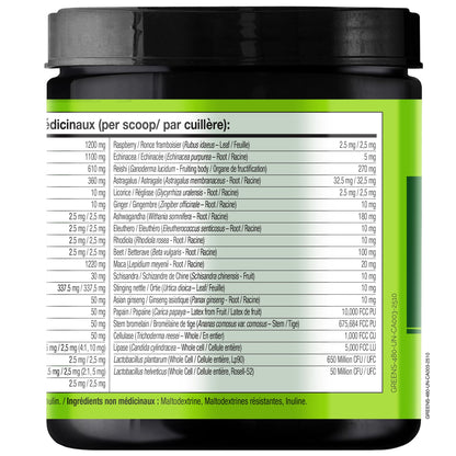 NATURELO Raw Greens Superfood Powder 480 Grams, Mixed Berry - Supports Energy, Immunity and Detox - Includes Spirulina, Wheat Grass and Organic Greens for Whole Food Nutrition