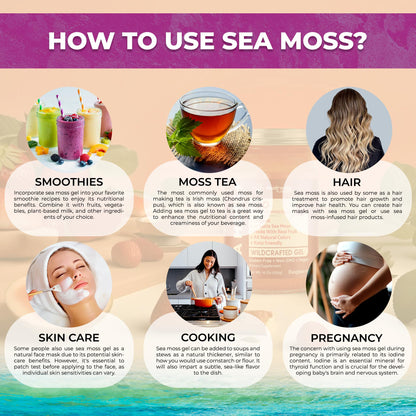WELLNESS LABSRX Irish Sea Moss Gel Raw - Wildcrafted Superfood Seamoss Gel - Pineapple Mango Flavor, Vitamin and Mineral-Rich from Pristine Caribbean Waters - 10 oz.