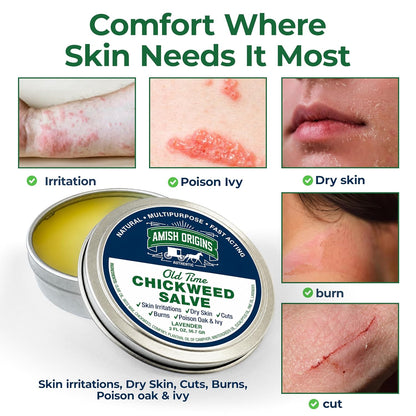 Amish Origins Old Time Chickweed Salve 2 oz- The Ultimate Poison Ivy/Poison Oak Blocker, Healing Salve for Skin Disorder, Irritations, Burns, Minor Cuts