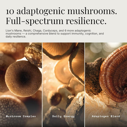Daily Mushrooms+ Organic Mushroom Powder | 7 Fruiting Body Extracts + Adaptogens | Lion's Mane, Reishi, Cordyceps, Chaga | 60 Servings