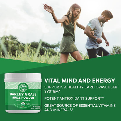 Vimergy Barley Grass Juice Powder Dietary Supplement - 4g per Serving (62 Servings) – Clean Superfood – Promotes Cardiovascular Health* – Organic, Vegan & Gluten-Free – Regular Size 250g