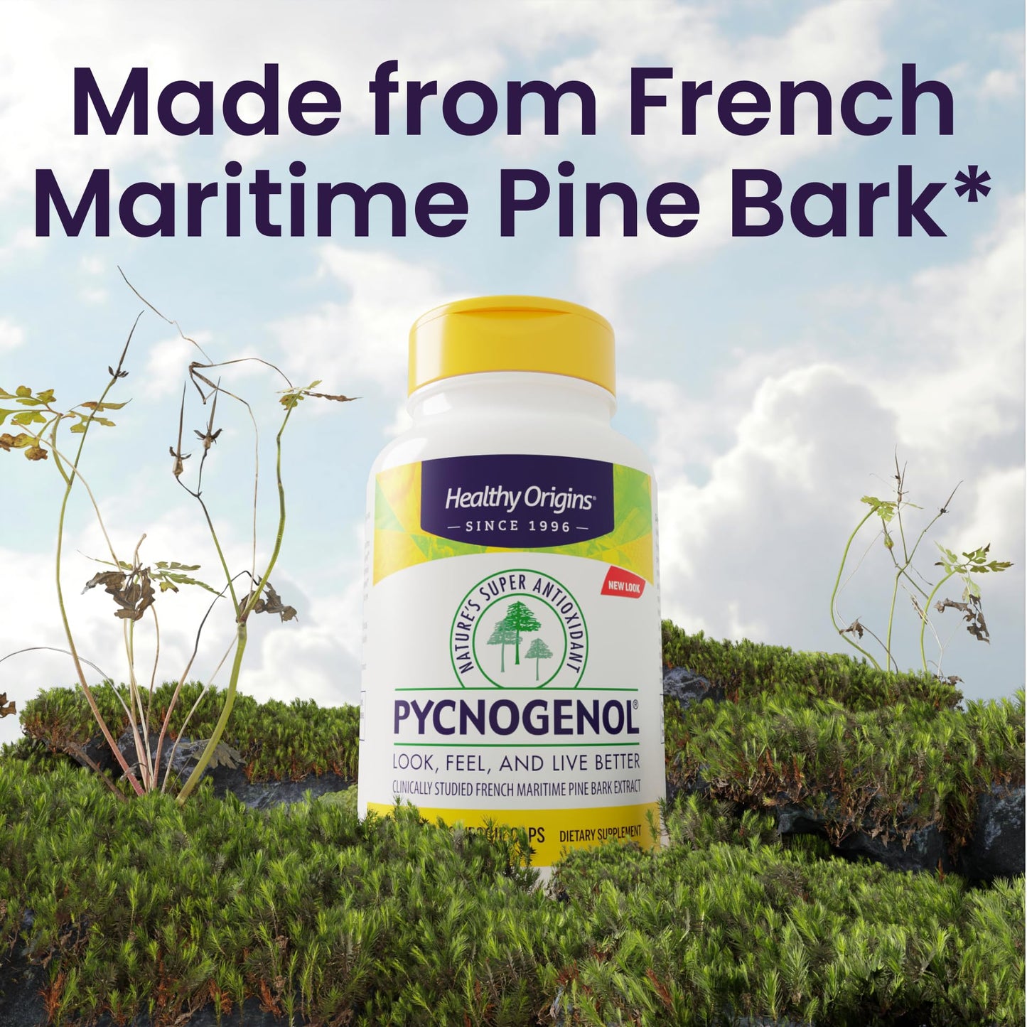 Healthy Origins Pycnogenol Pine Bark 150 mg, 120 Veggie Caps