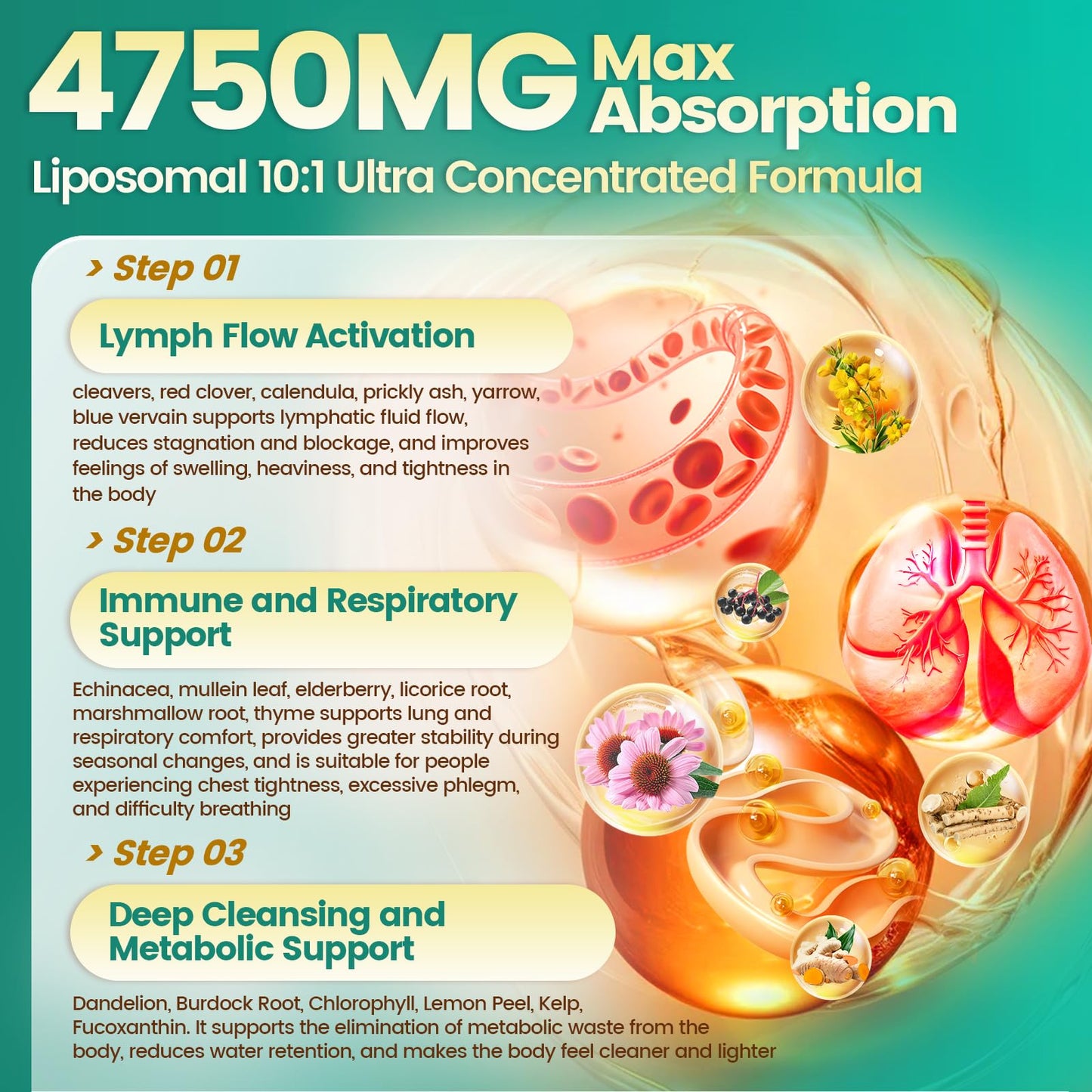 VivoNu 27-in-1 Liposome Lymphatic Drainage Supplements, 90 Day Supply with Echinacea, Chlorophyll, Dandelion, Burdock, Mullein Leaf Extract for Lungs, 10:1 Concentrated Technology, 90 Capsules