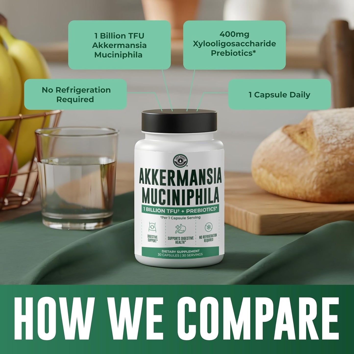 Akkermansia Muciniphila Supplement With Prebiotics, 30 Capsules | 1 Billion CFU With XOS Prebiotic - Supports Gut Health, Mirobiome Balance & Digestive Health - Gluten Free