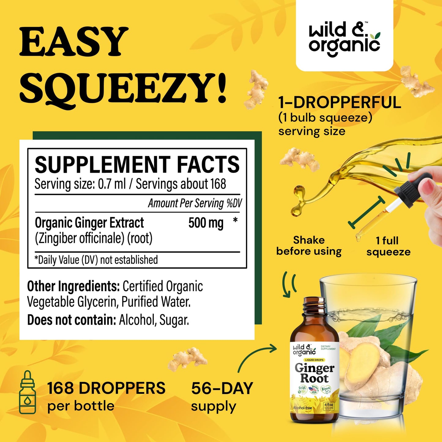 Wild & Organic Ginger Root Extract Drops - Immune & Digestive Support - Liquid Ginger Supplements - Easy to Add to Tea - Vegan, Sugar & Alcohol-Free Tincture - 4 fl oz