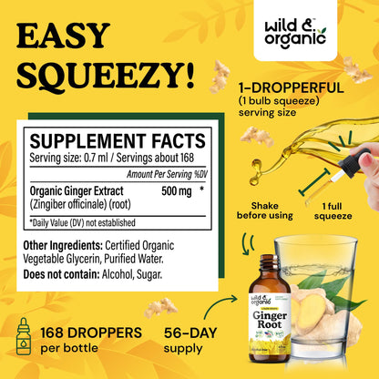 Wild & Organic Ginger Root Extract Drops - Immune & Digestive Support - Liquid Ginger Supplements - Easy to Add to Tea - Vegan, Sugar & Alcohol-Free Tincture - 4 fl oz